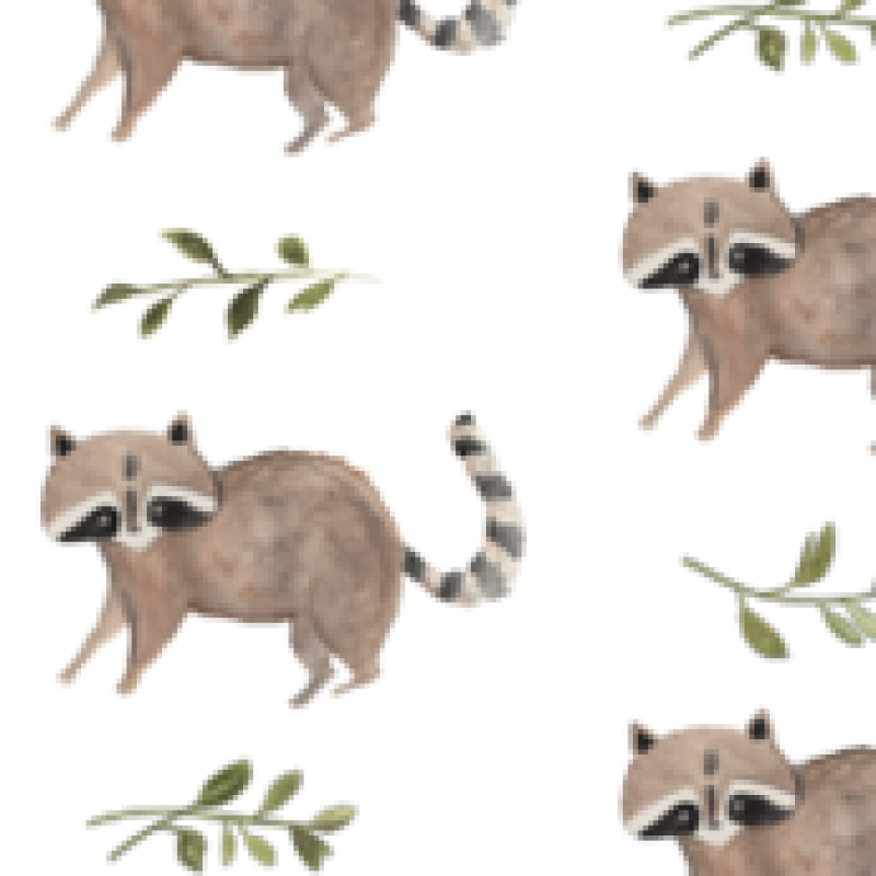 Raccoon Pattern